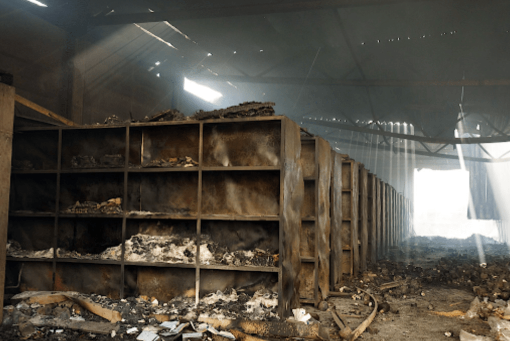 UNRWA Allegations Threaten to Worsen Conditions for Menstruating Women in Gaza